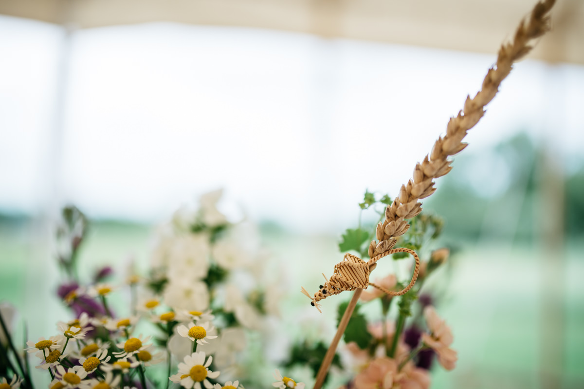 F&M-countryside-garden-farm-marquee-wedding-jenny-macare-046