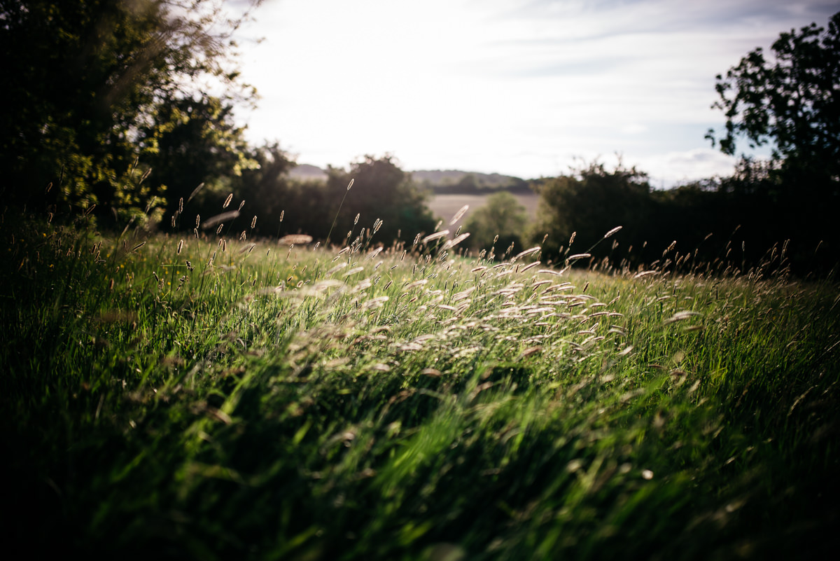 F&M-countryside-garden-farm-marquee-wedding-jenny-macare-171